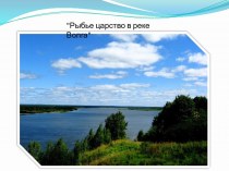 Рыбье царство в реке Волга презентация к уроку по окружающему миру (старшая группа)