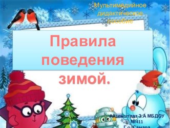 Мультимедийное дидактическое пособие Правила поведения зимой презентация к уроку (старшая группа)