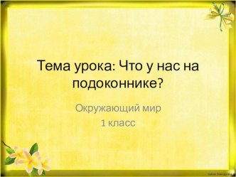 Окружающий мир Что растёт на подоконнике презентация к уроку по окружающему миру (1 класс)