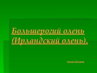 Большерогий олень (Ирландский олень). Окружающий мир. 2 класс. творческая работа учащихся по окружающему миру (2 класс)