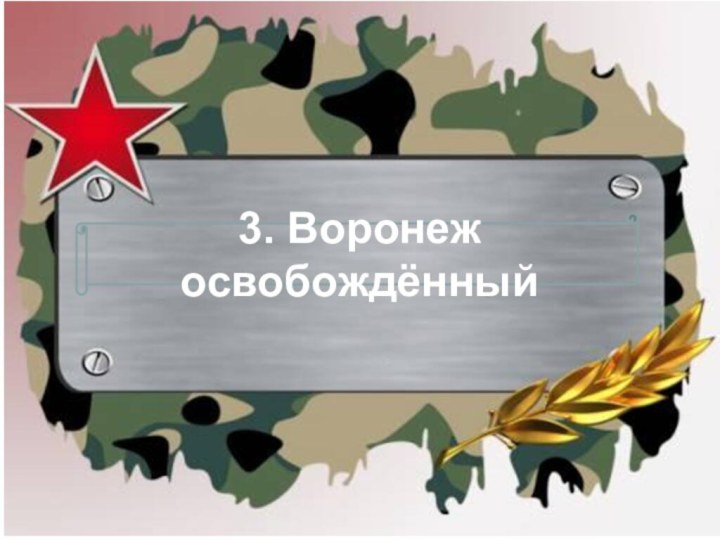 3. Воронеж освобождённый