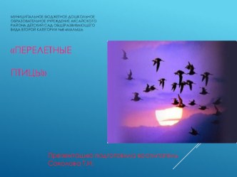 Презентация в средней группы Перелётные птицы проект по окружающему миру (средняя группа)