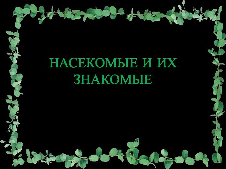 НАСЕКОМЫЕ И ИХ ЗНАКОМЫЕПрезентация для детей средней группы № 4Презентацию подготовила воспитатель Яковлева Н. В.