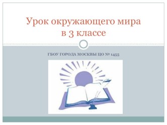 Наше питание.Пищеварительная система. презентация к уроку по окружающему миру (3 класс) по теме