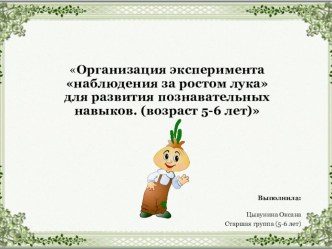 Презентация Организация эксперимента наблюдение за ростом лука для развития познавательных навыков. (возраст 5-6 лет) презентация к уроку (старшая группа)