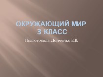 наше государство (окружающий мир) план-конспект урока по окружающему миру (3 класс) по теме