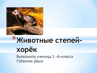 Презентация творческая работа учащихся по окружающему миру (2 класс)