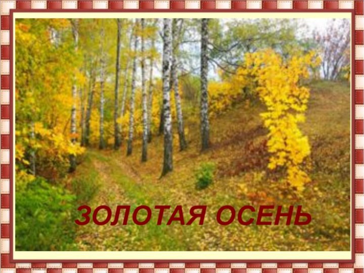 ЗОЛОТАЯ ОСЕНЬ