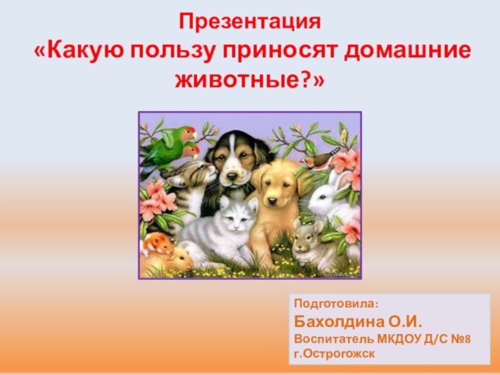 Презентация «Какую пользу приносят домашние животные?»Подготовила: Бахолдина О.И.Воспитатель МКДОУ Д/С №8г.Острогожск