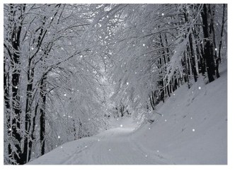 Конспект совместной образовательной деятельности по направлению Коммуникация Тема: Заучивание стихотворения Н. Садовского Звездочка – малютка Группа 2 младшая А план-конспект занятия по развитию речи (младшая группа) по теме