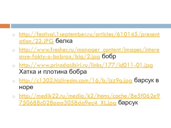 http://festival.1september.ru/articles/610145/presentation/22.JPG белкаhttp://www.fresher.ru/manager_content/images/interesnye-fakty-o-bobrax/big/2.jpg бобрhttp://www.prirodasibiri.ru/links/177/id011-01.jpg Хатка и плотина бобраhttp://c1302.hizliresim.com/16/b/jzz9g.jpg барсук в нореhttp://medik22.ru/media/k2/items/cache/8e5f062e9750688c028aaa3058da9ec4_XL.jpg барсук