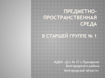 Предметно-пространственная среда в старшей группе презентация к уроку (старшая группа)