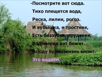 Презентация к уроку Водоём - природное сообщество презентация к уроку по окружающему миру (3 класс)