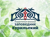 презентация к школьной конференции Курильский заповедник презентация к уроку (1, 2, 3, 4 класс)