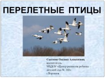 презентация Перелетные птицы презентация по окружающему миру