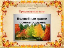 Презентация к занятию Волшебные краски осеннего дерева презентация урока для интерактивной доски (старшая группа)