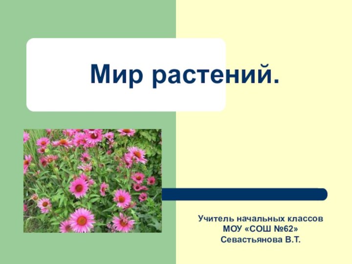 Мир растений.Учитель начальных классовМОУ «СОШ №62»Севастьянова В.Т.