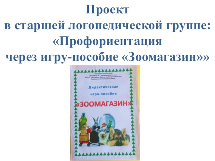 Проект  в старшей логопедической группе: «Профориентация  через игру-пособие «Зоомагазин»»