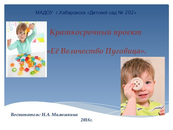 МАДОУ г.Хабаровска «Детский сад № 202»