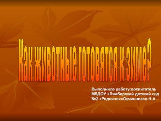 Презентация Как дикие животные готовятся к зиме презентация к занятию (младшая группа) по теме