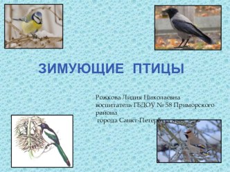 Презентация к занятию Птицы зимой презентация к занятию по развитию речи (подготовительная группа) по теме