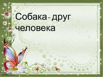 Презентация Собака- друг человека презентация к уроку по окружающему миру (старшая группа)