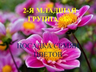 Посадка семян цветов презентация к уроку (младшая группа)
