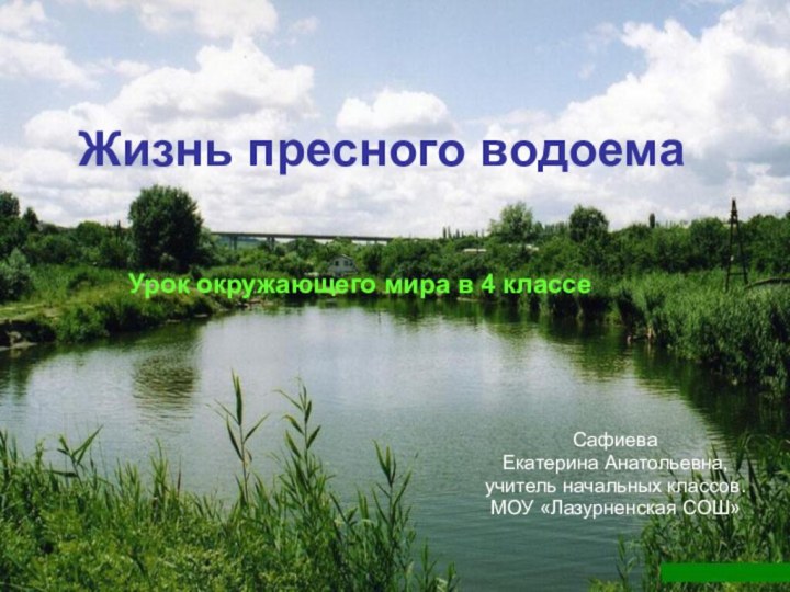 Жизнь пресного водоема  Урок окружающего мира в 4 классеСафиеваЕкатерина Анатольевна,учитель начальных классов.МОУ «Лазурненская СОШ»