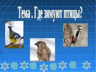 Презентация к уроку Где зимуют птицы?, 1 класс презентация к уроку по окружающему миру (1 класс)