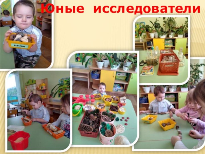 Юные исследователи