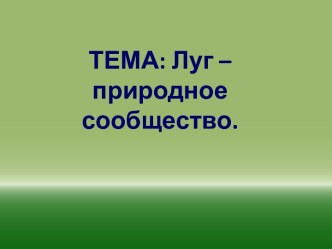 Конспект урока в 4 классе по предмету Окружающий мир(под ред. А.А.Плешакова) программа Школа России... план-конспект урока по окружающему миру (4 класс)