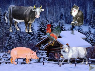 k zimovyu zverey - chast4