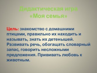didakticheskaya igra moya semya2