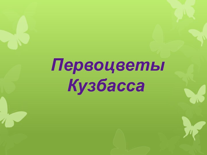 Первоцветы Кузбасса