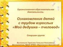 Презентация учебного занятия: Мой дедушка пчеловод материал по окружающему миру (старшая группа) по теме