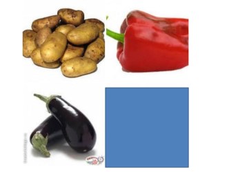 Электронные игры по теме Фрукты, овощи презентация к занятию по развитию речи (старшая группа) по теме