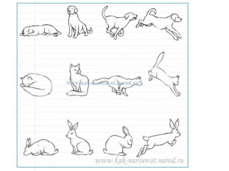 Таблицы последовательного рисования людей и животных презентация к уроку по изобразительному искусству (изо, 4 класс) по теме