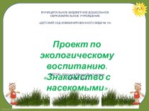 Проект : Насекомые проект по окружающему миру (младшая группа)