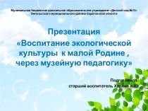 Презентация Мини-музей природы презентация