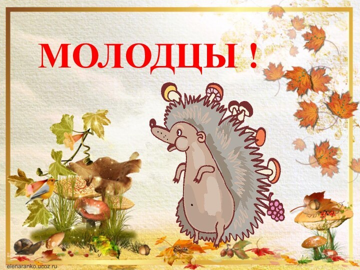 МОЛОДЦЫ !