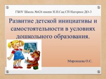 Презентация. Развитие детской инициативы и самостоятельности в условиях дошкольного образования. презентация