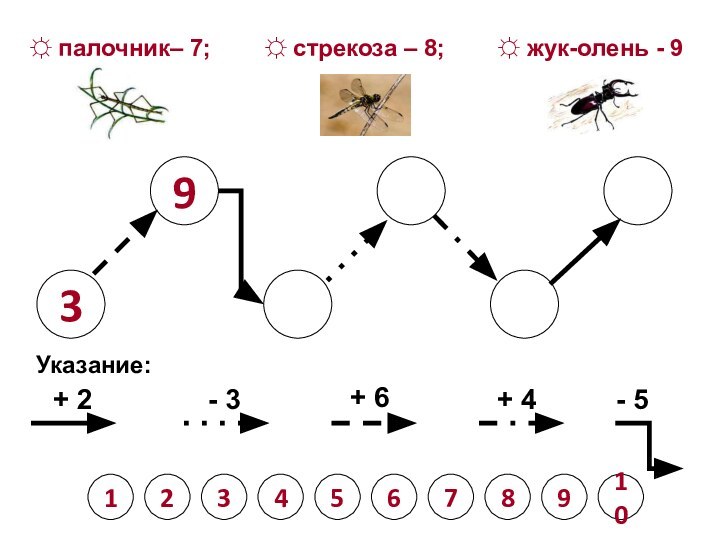 39Указание:+ 2- 3+ 6+ 4- 512345678910☼ палочник– 7;    ☼