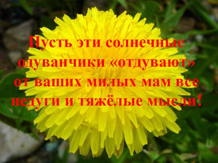 Пусть эти солнечные одуванчики «отдувают» от ваших милых мам все недуги и тяжёлые мысли!