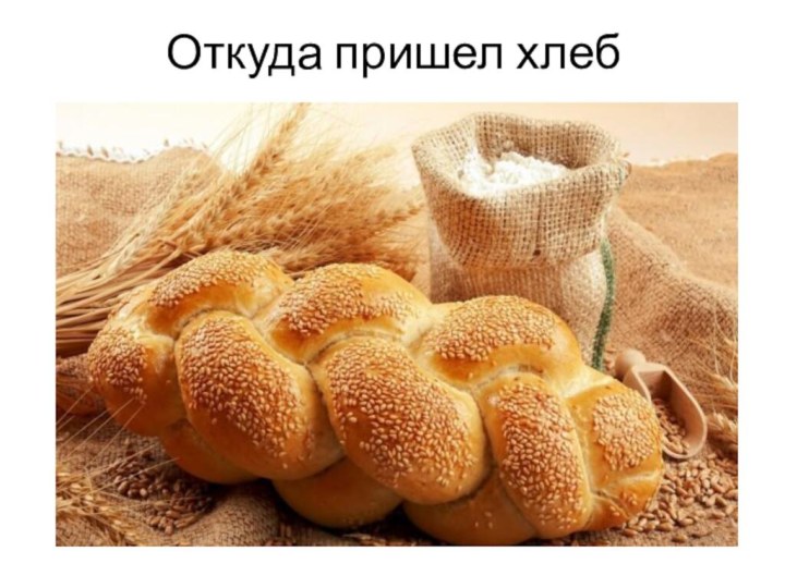 Откуда пришел хлеб