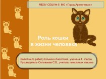 Исследовательская работа Наши любимцы-кошки методическая разработка (3 класс)