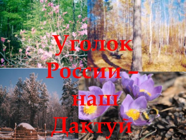 Уголок России – наш Дактуй