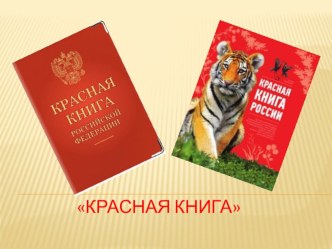 Красная книга презентация к уроку (средняя, старшая, подготовительная группа)