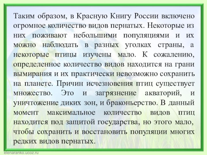 Таким образом, в Красную Книгу России включено огромное количество видов пернатых. Некоторые
