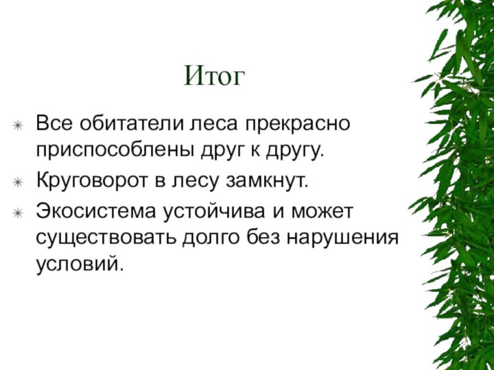 ИтогВсе обитатели леса прекрасно приспособлены друг к другу.Круговорот в лесу замкнут.Экосистема устойчива