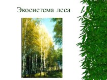 ekosistema lesa1